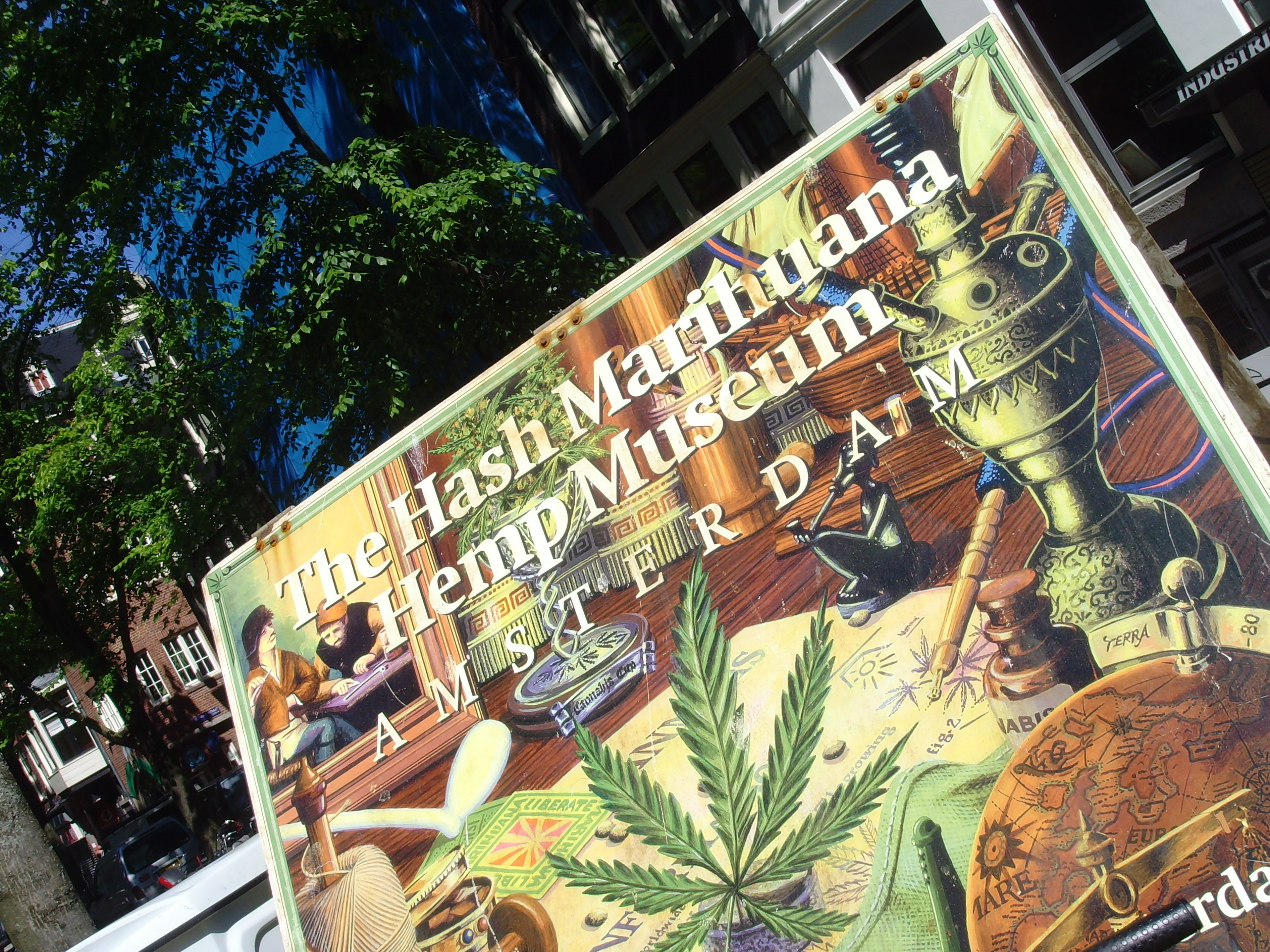 Todo lo que debes saber sobre la marihuana en Amsterdam