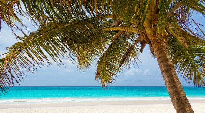 10 Cosas que hacer en la isla San Andrés en Colombia