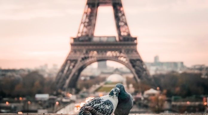 Descubre el lugar ideal para recibir el 2019 según tu signo zodiacal