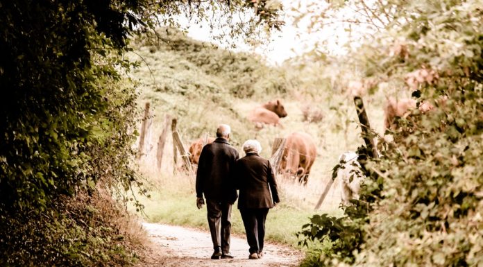 El secreto de la felicidad está en viajar, además alarga la vida
