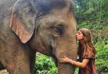 ¿Cómo viajar sin dinero? 8 formas reales para viajar sin dinero