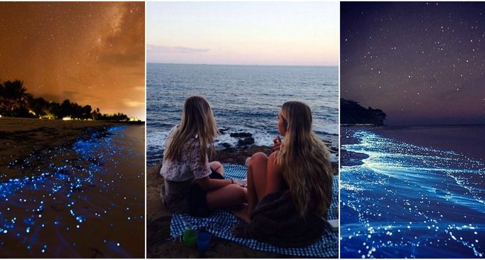 4 Playas de méxico donde el mar se ilumina en la noche