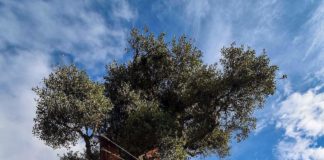 Todo lo que debes saber sobre el columpio del fin del mundo en Baños, Ecuador