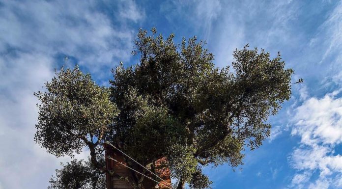 Todo lo que debes saber sobre el columpio del fin del mundo en Baños, Ecuador