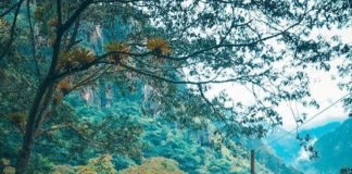 Conoce la forma más económica de visitar Machu Picchu con todo incluído