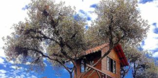 Los mejores deportes extremos que puedes hacer en Ecuador