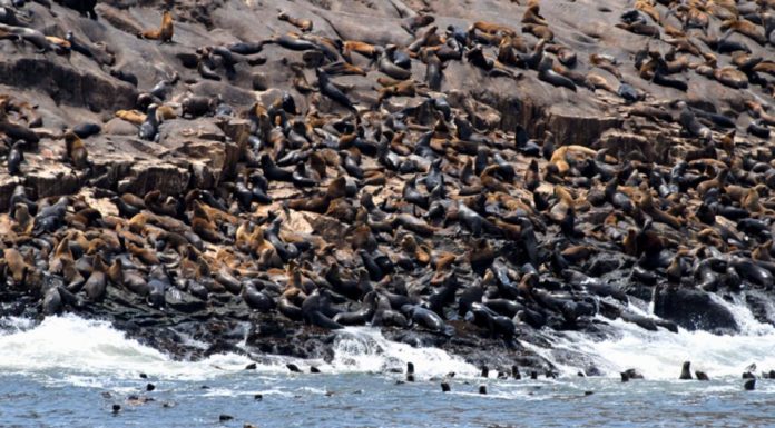 Descubre estas opciones para pasar un día diferente en el Callao