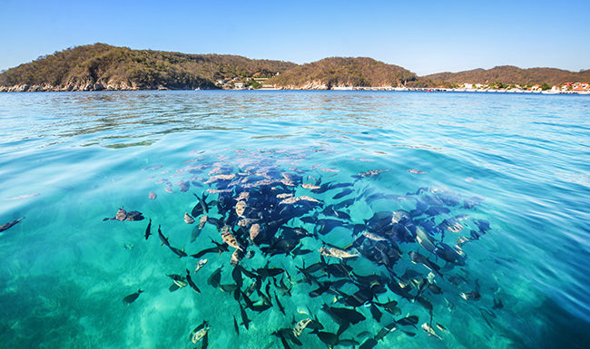 Sol, arena, y mar: las mejores playas de Quintana Roo