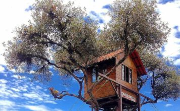 Columpios extremos a los que debes subir alguna vez en la vida