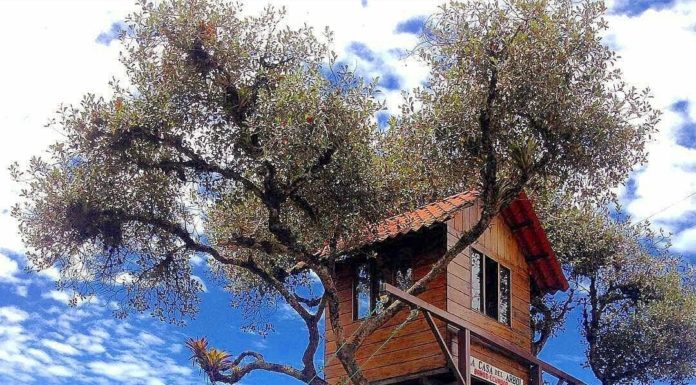 Columpios extremos a los que debes subir alguna vez en la vida