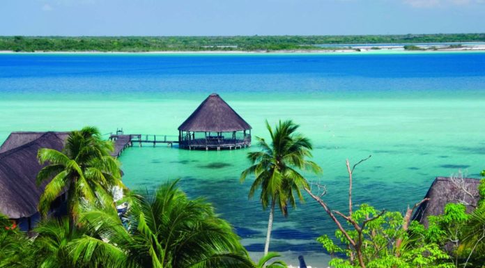 Presidente de México ofrecerá viajes gratis para las personas más pobres de su país