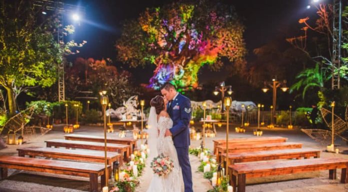 Ahora puedes casarte en el Árbol de la vida de Animal Kingdom, en Disney World