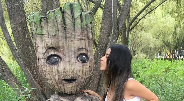 Cusco: cuatro nuevas rutas turísticas que no te puedes perder