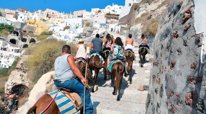 La cruel vida de los burros de Santorini, en manos de la conciencia de los turistas