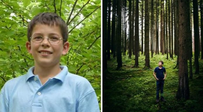 Un niño alemán de 12 años lleva más de un millón de árboles plantados