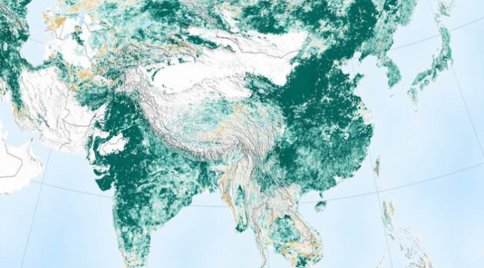 La NASA informó felizmente que la Tierra está más verde y con más árboles que hace 20 años