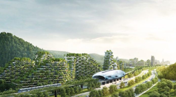 China quiere crear la primera ciudad forestal del mundo