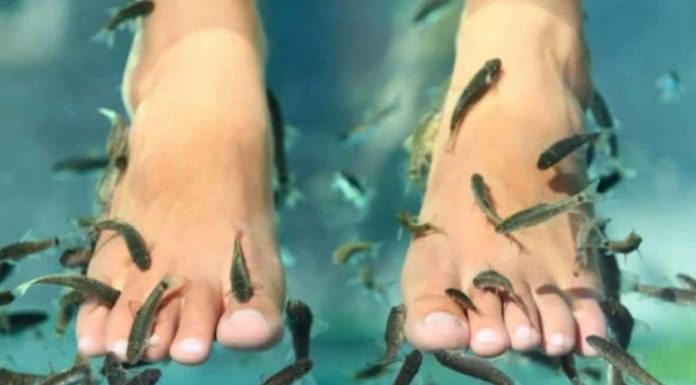 Fue a un spa con peces en Tailandia y le tuvieron que amputar los cinco dedos de un pie