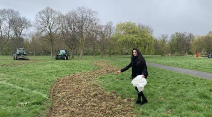 Un barrio de Londres hará un camino de flores de 11 km para ayudar a las abejas