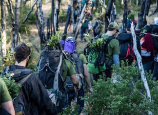 Argentina: Jóvenes plantaron 11.500 árboles para recuperar un bosque incendiado en Chubut