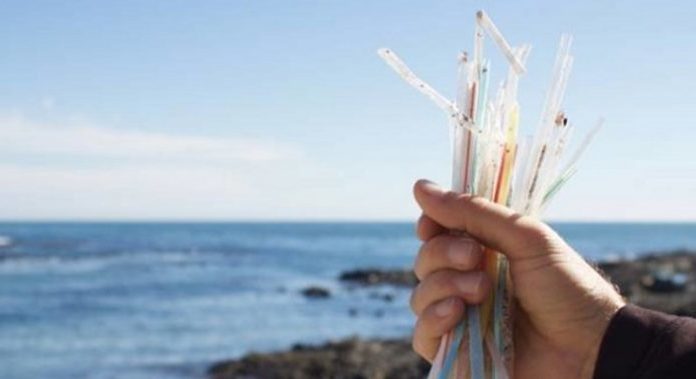 Coreanos crean popotes comestibles a base de arroz para terminar con el plástico de un solo uso