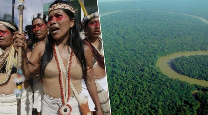 Tribu de Amazonia gana una demanda contra petroleras y salva millones de acres de selva tropical