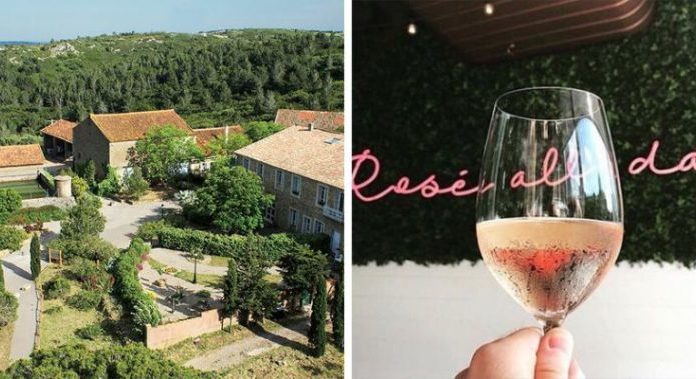 Compañía de vinos te paga $10.000 dólares para que viajes a Francia