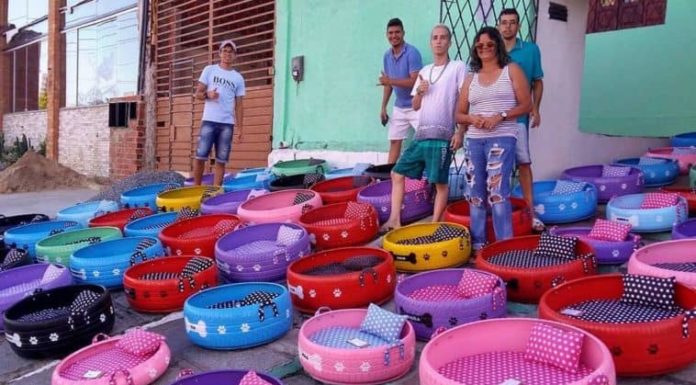 Artista brasileño transforma viejos neumáticos en camitas para los perros callejeros