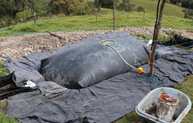 Campesinos generan gas para sus viviendas con estiércol de las vacas