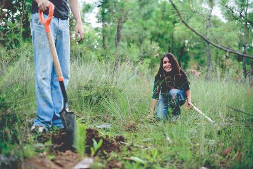 Pareja dedica 20 años a reforestar un bosque entero hasta que regresaron los animales