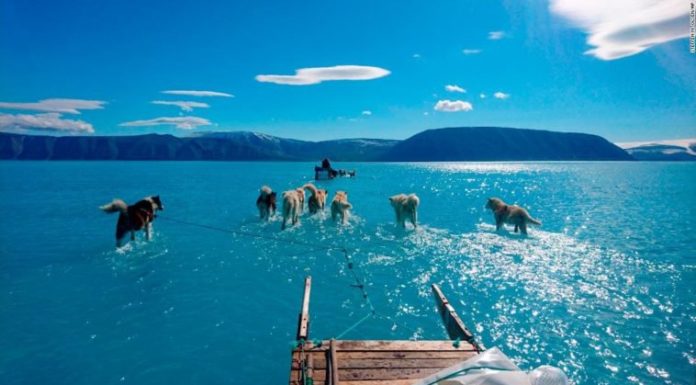 Groenlandia: la imagen que enciende las máximas alertas por el cambio climático