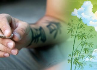 Descubren que hace 2500 años la humanidad ya fumaba Marihuana, se conoció en China.