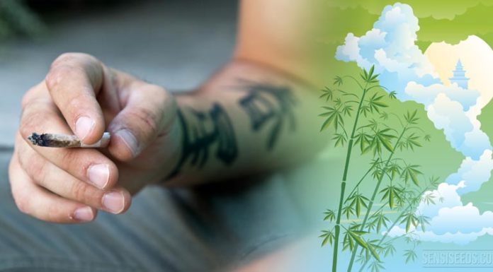 Descubren que hace 2500 años la humanidad ya fumaba Marihuana, se conoció en China.