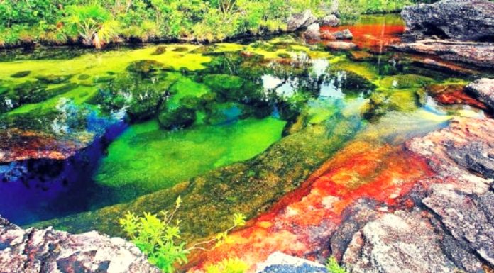 El río de los cinco colores, una de las maravillas naturales mas hermosas del mundo