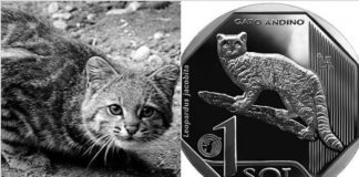 ¿Cómo se ven los animales silvestres en las monedas de colección del BCR?