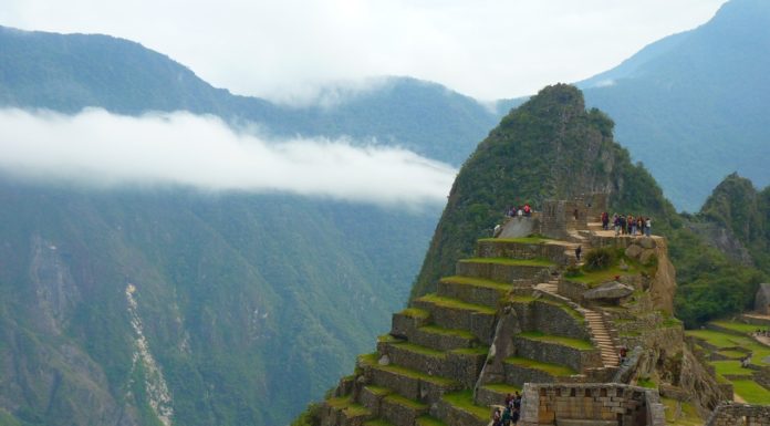 Perú está protegiendo Machu Picchu plantando un millón de árboles para protegerse contra deslizamientos de tierra e incendios