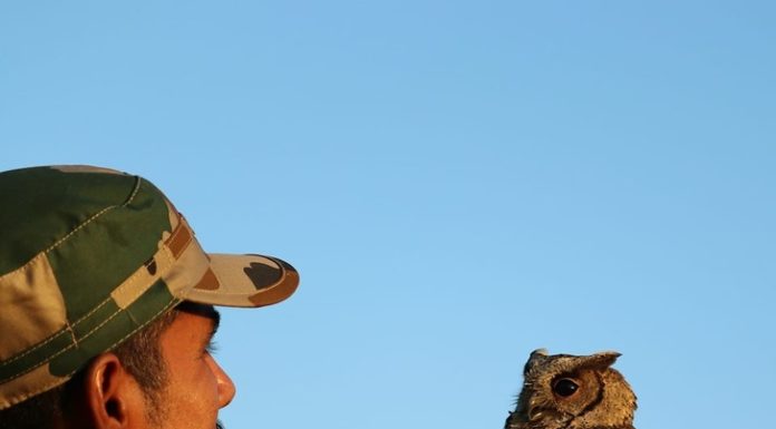 Un hombre de la India ha trabajado incansablemente durante 12 años para salvar a más de 5 000 animales