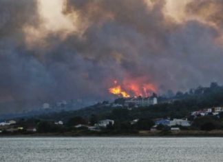 Cientos de personas tuvieron que ser evacuadas por los incendios forestales en Grecia