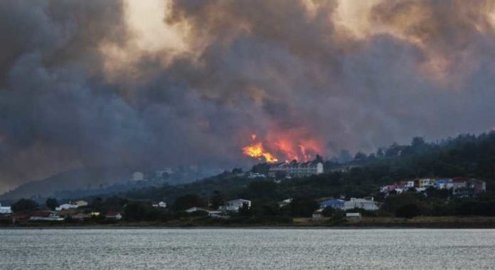 Cientos de personas tuvieron que ser evacuadas por los incendios forestales en Grecia
