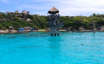 Arranca siembra de 3 mil 100 corales en arrecifes de Cancún e Isla Mujeres