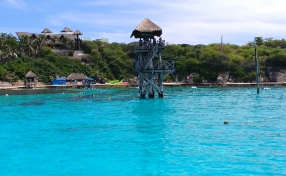 Arranca siembra de 3 mil 100 corales en arrecifes de Cancún e Isla Mujeres