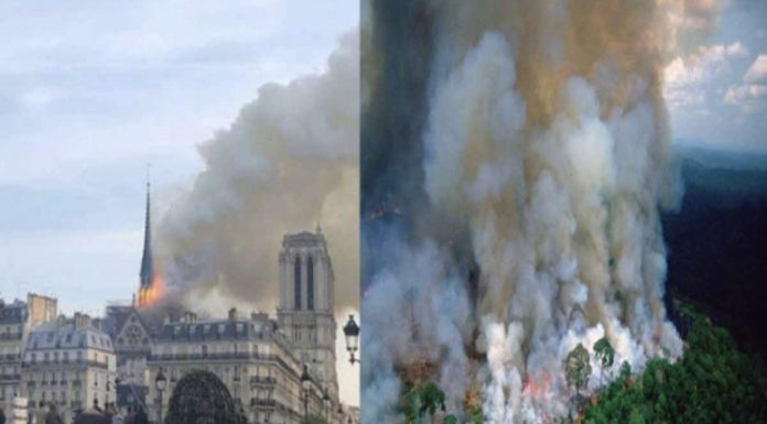 El mundo lloró Notre Dame; el Amazonas ¿a nadie le importa?