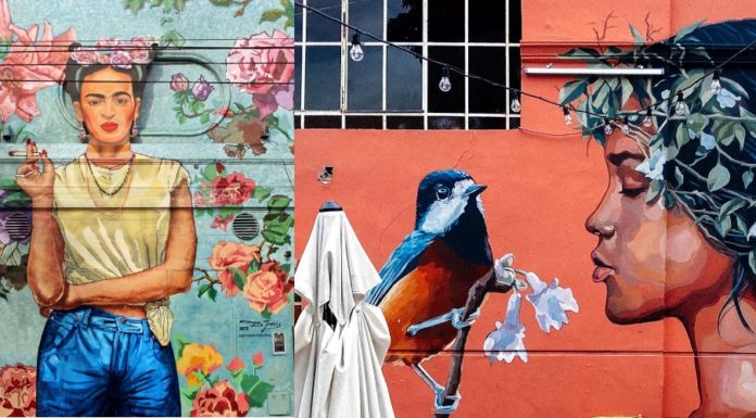 Arte Urbano. La ruta de los murales en Buenos Aires