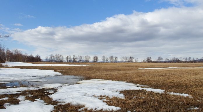 Groenlandia se derrite a tasas nunca antes vistas, tanto que los investigadores publican foto de ellos en shorts