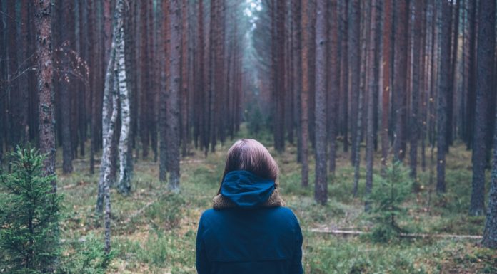 Los expertos dicen que este es el mejor tipo de espacio verde para tu salud mental
