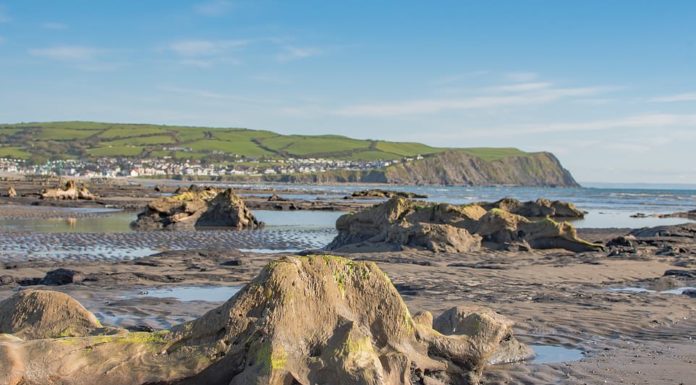 Fuerte tormenta hace reaparecer un bosque prehistórico en Reino Unido