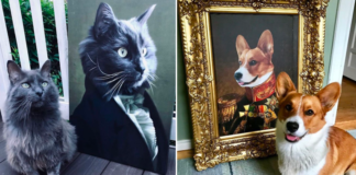 Pintan mascotas como si fueran de la aristocracia
