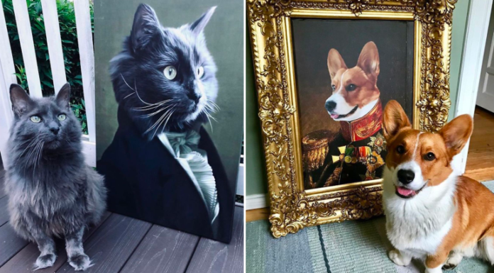 Pintan mascotas como si fueran de la aristocracia