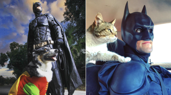 Disfrazado de Batman, viaja por los Estados Unidos para salvar animales abandonados y encontrarles una familia.
