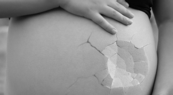 El sexo masculino desaparecería con el cambio climático, según científicos japoneses